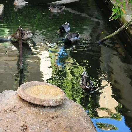 Mamma Rosa Hotel Patu